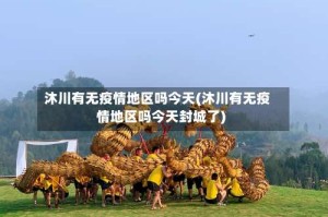 沐川有无疫情地区吗今天(沐川有无疫情地区吗今天封城了)