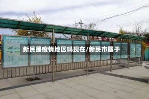 新民是疫情地区吗现在/新民市属于
