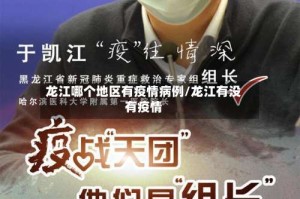 龙江哪个地区有疫情病例/龙江有没有疫情