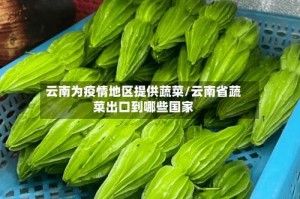 云南为疫情地区提供蔬菜/云南省蔬菜出口到哪些国家