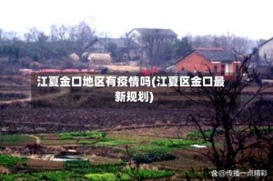 江夏金口地区有疫情吗(江夏区金口最新规划)