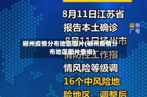 郴州疫情分布地区图片(郴州疫情分布地区图片查询)