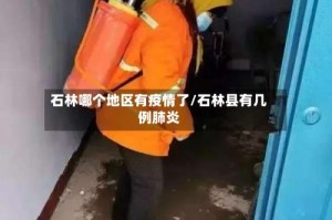 石林哪个地区有疫情了/石林县有几例肺炎