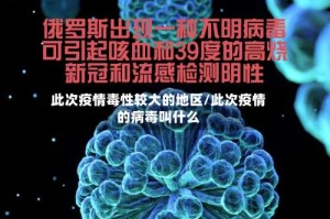 此次疫情毒性较大的地区/此次疫情的病毒叫什么