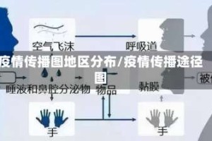 疫情传播图地区分布/疫情传播途径图
