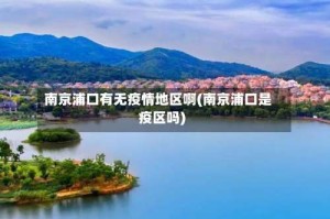南京浦口有无疫情地区啊(南京浦口是疫区吗)