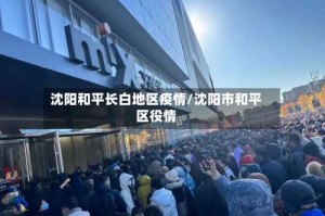 沈阳和平长白地区疫情/沈阳市和平区役情