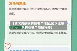 【武汉流感疫情在哪个地区,武汉流感疫情在哪个地区传播】