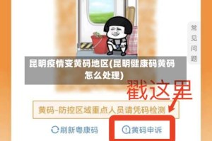 昆明疫情变黄码地区(昆明健康码黄码怎么处理)