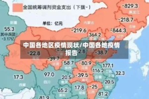 中国各地区疫情现状/中国各地疫情报告