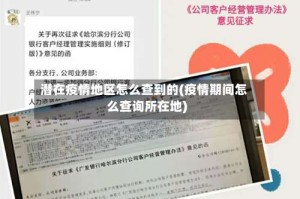 潜在疫情地区怎么查到的(疫情期间怎么查询所在地)