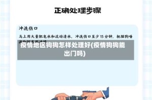 疫情地区狗狗怎样处理好(疫情狗狗能出门吗)