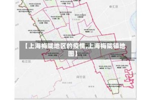 【上海梅陇地区的疫情,上海梅陇镇地图】