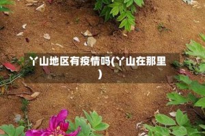 丫山地区有疫情吗(丫山在那里)