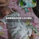 无疫情地区的行程卡(无行程码)