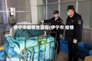 伊宁市疫情地区图(伊宁市 疫情)