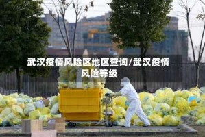 武汉疫情风险区地区查询/武汉疫情 风险等级