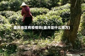 盘井地区有疫情吗(盘井是什么地方)