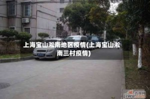 上海宝山淞南地区疫情(上海宝山淞南三村疫情)