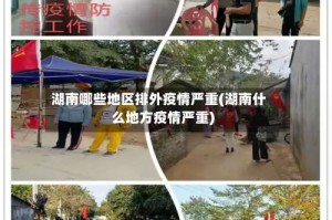 湖南哪些地区排外疫情严重(湖南什么地方疫情严重)
