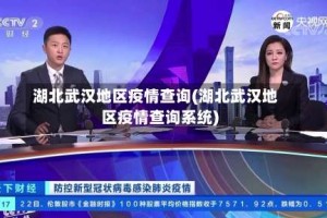 湖北武汉地区疫情查询(湖北武汉地区疫情查询系统)
