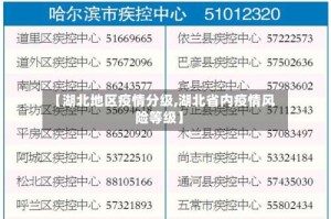 【湖北地区疫情分级,湖北省内疫情风险等级】