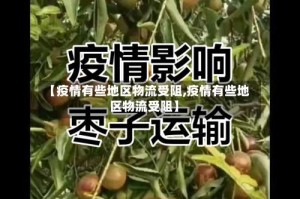 【疫情有些地区物流受阻,疫情有些地区物流受阻】