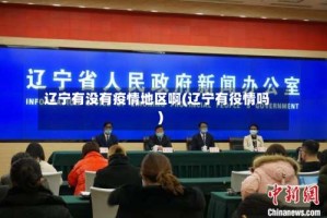 辽宁有没有疫情地区啊(辽宁有役情吗)