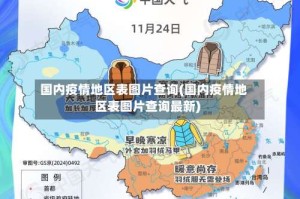 国内疫情地区表图片查询(国内疫情地区表图片查询最新)