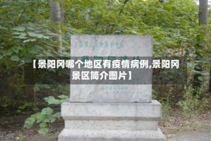 【景阳冈哪个地区有疫情病例,景阳冈景区简介图片】