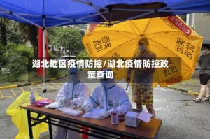 湖北地区疫情防控/湖北疫情防控政策查询