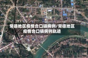 常德地区疫情合口镇病例/常德地区疫情合口镇病例轨迹