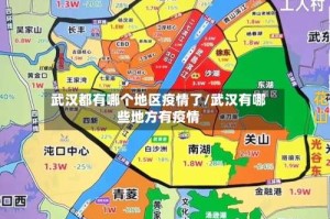 武汉都有哪个地区疫情了/武汉有哪些地方有疫情