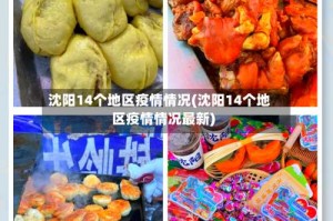 沈阳14个地区疫情情况(沈阳14个地区疫情情况最新)