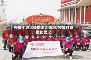 疫情个地区援助湖北情况/疫情各省援助武汉