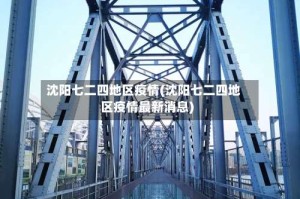 沈阳七二四地区疫情(沈阳七二四地区疫情最新消息)