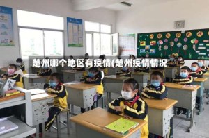 楚州哪个地区有疫情(楚州疫情情况)
