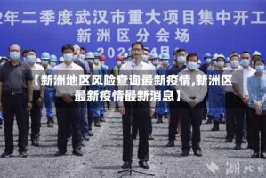 【新洲地区风险查询最新疫情,新洲区最新疫情最新消息】