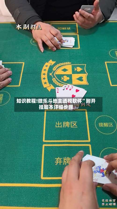 知识教程!微乐斗地主透视软件”附开挂脚本详细步骤-第2张图片