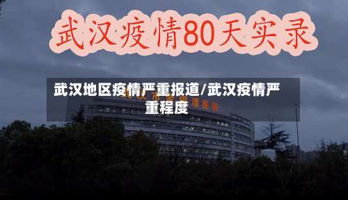 武汉地区疫情严重报道/武汉疫情严重程度-第3张图片