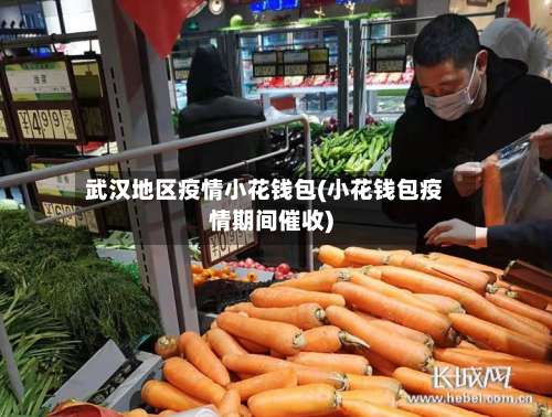 武汉地区疫情小花钱包(小花钱包疫情期间催收)-第1张图片