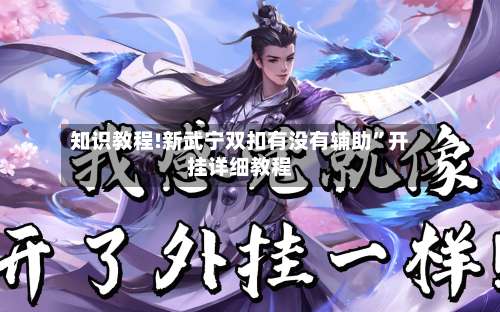 知识教程!新武宁双扣有没有辅助	”开挂详细教程-第1张图片