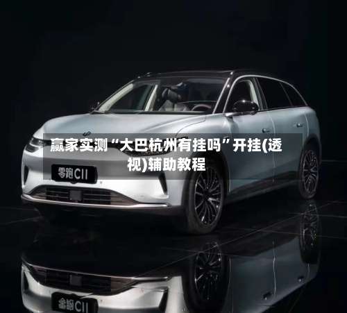 赢家实测“大巴杭州有挂吗	”开挂(透视)辅助教程-第2张图片