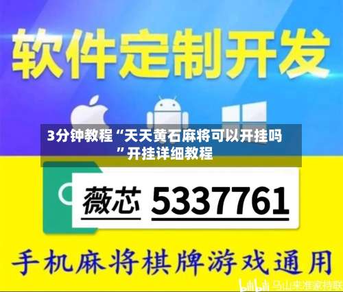 3分钟教程“天天黄石麻将可以开挂吗	”开挂详细教程-第3张图片