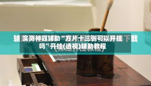 实测神器辅助“方片十三张可以开挂吗”开挂(透视)辅助教程-第3张图片