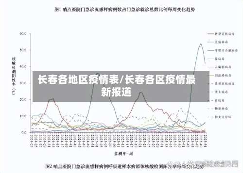 长春各地区疫情表/长春各区疫情最新报道-第2张图片