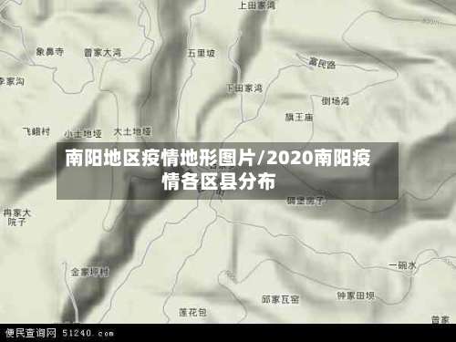 南阳地区疫情地形图片/2020南阳疫情各区县分布-第3张图片