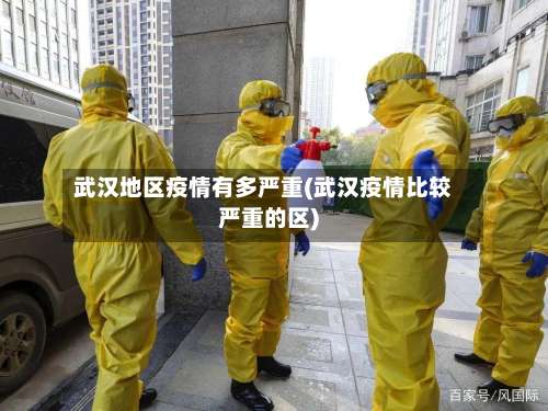 武汉地区疫情有多严重(武汉疫情比较严重的区)-第1张图片