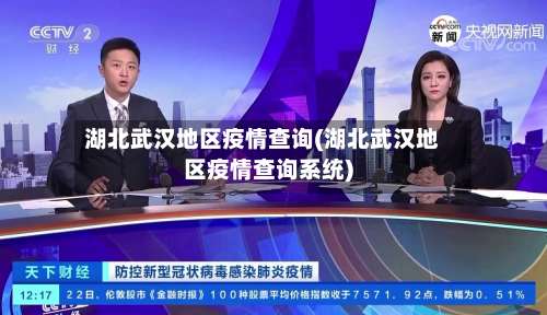 湖北武汉地区疫情查询(湖北武汉地区疫情查询系统)-第1张图片