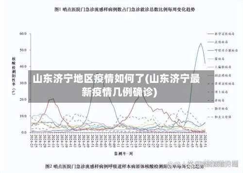 山东济宁地区疫情如何了(山东济宁最新疫情几例确诊)-第1张图片